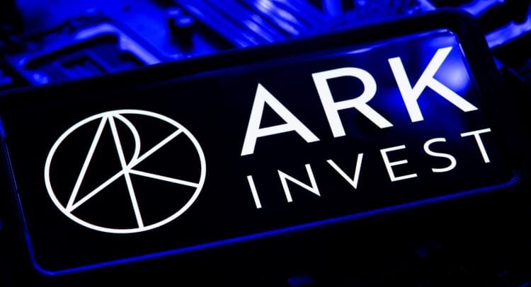 קת'י ווד קונה בירידה שוב: ARK רוכשת מניות Circle & BitMine בשווי 46 מיליון דולר