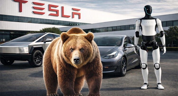 "זמן ללחוץ על הבלמים", אומר משקיע על מניית טסלה