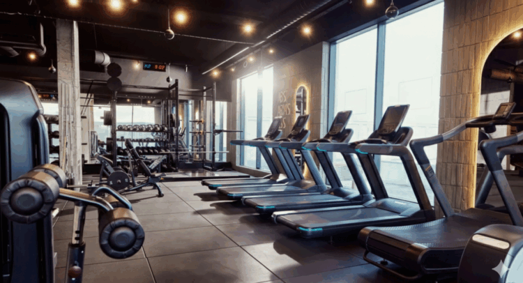 מנכ”לית הולמס פלייס רוכשת 7.5% ממניות החברה ב-51 מיליון שקל